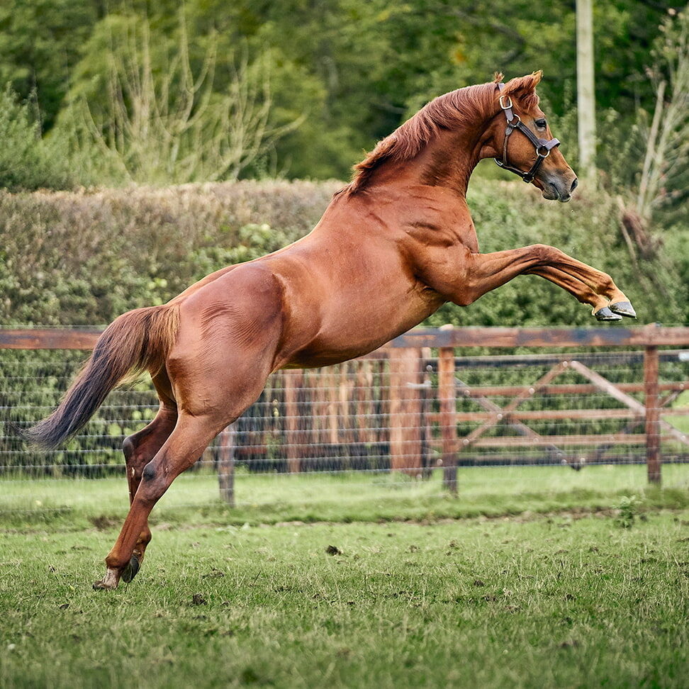 TWEENHILLS PHOTO 972x972 01