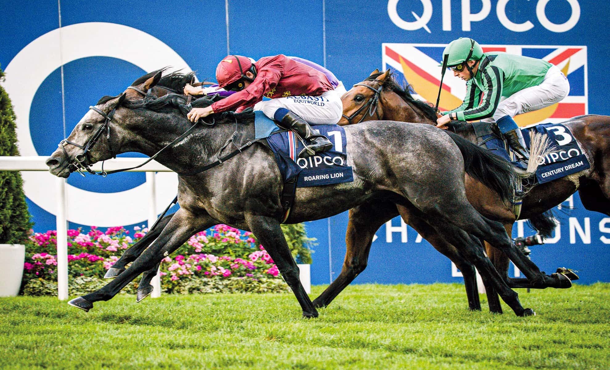 TWEENHILLS PHOTO 1980x1200 01