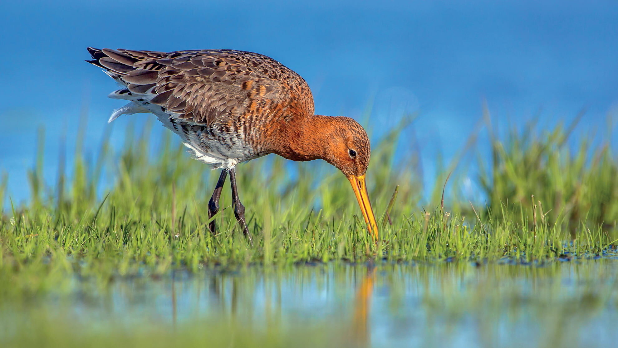 AW PHOTO 01 1980x1116