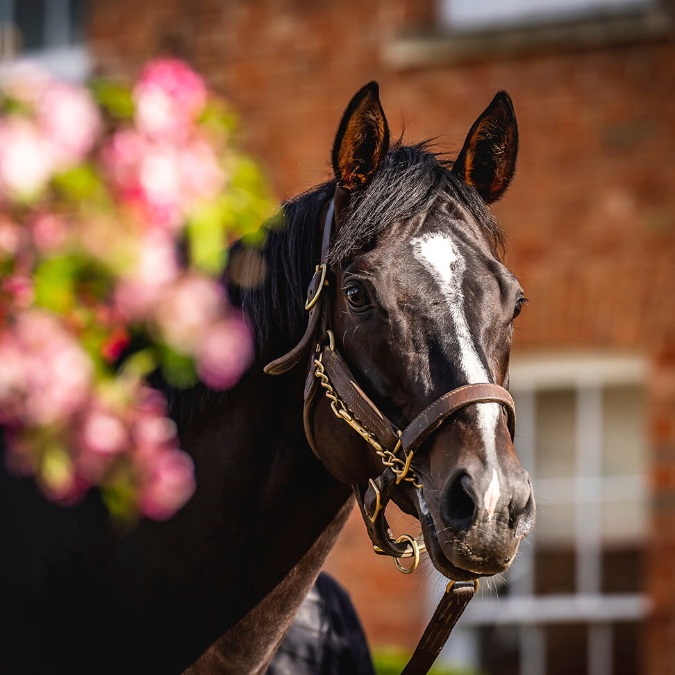 TWEENHILLS PHOTO 972x972 03