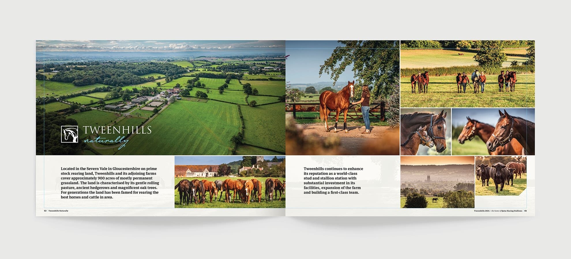 TWEENHILLS BROCHURE 1980x900 03