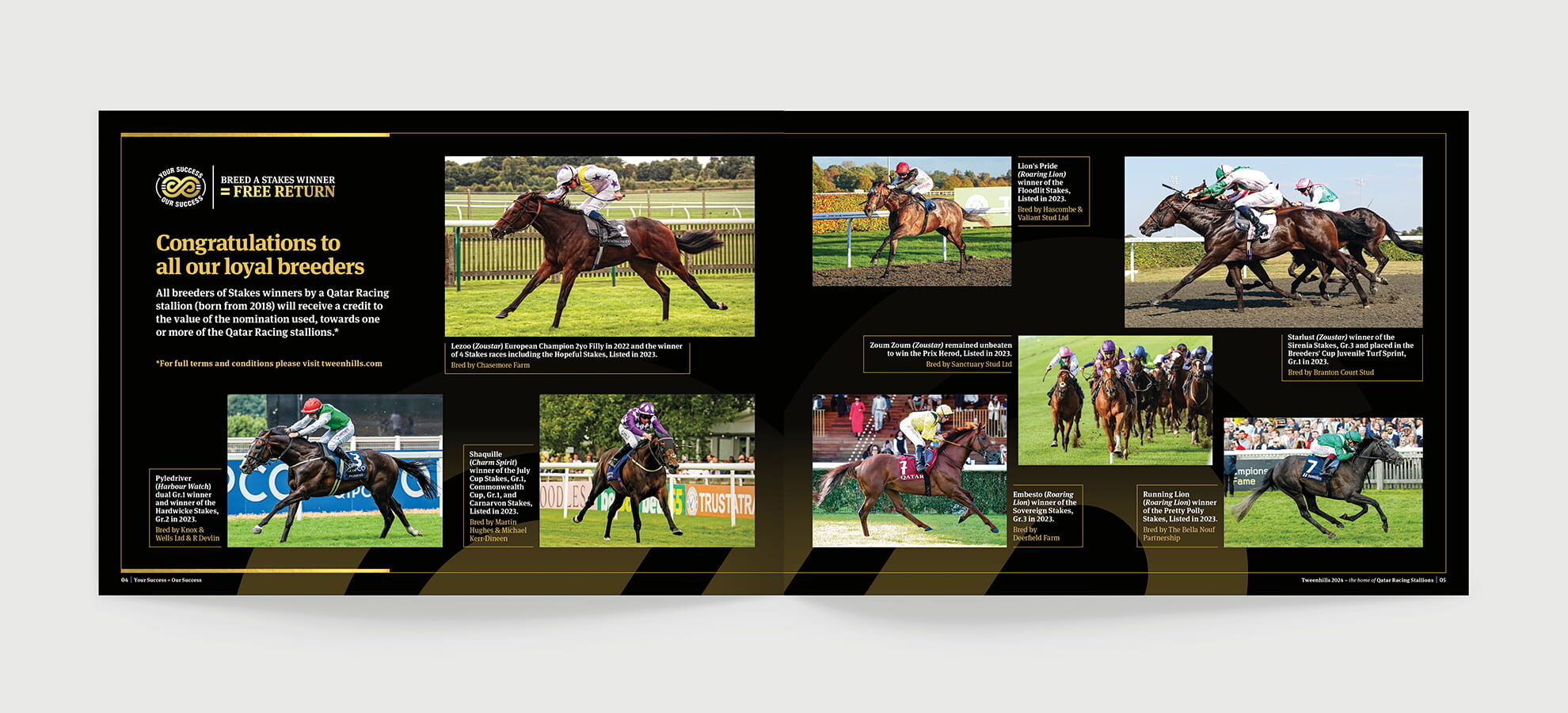 TWEENHILLS BROCHURE 1980x900 04