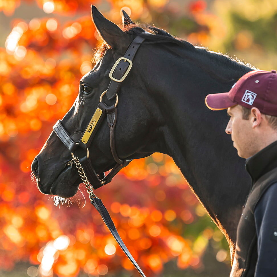 TWEENHILLS PHOTO 972x972 05