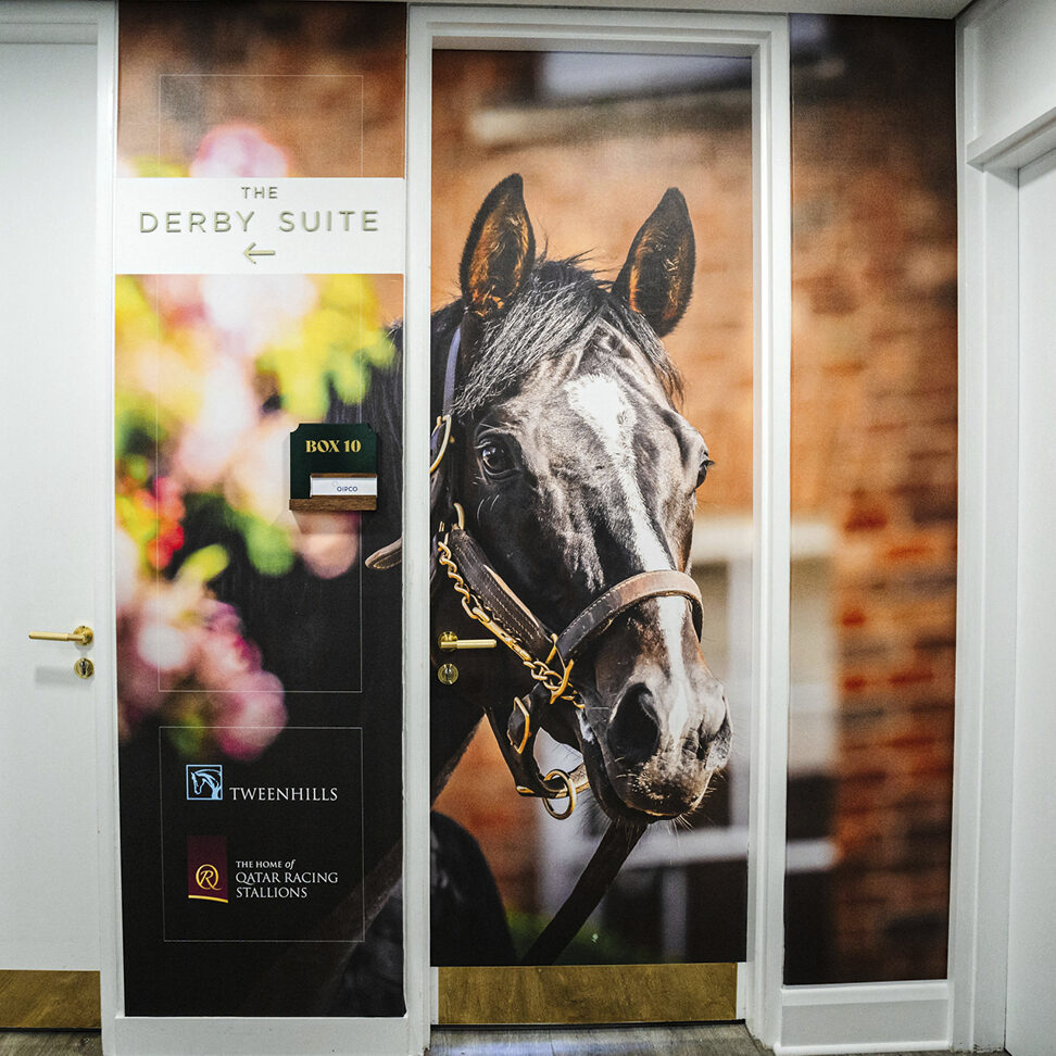 TWEENHILLS PHOTO 972x972 07