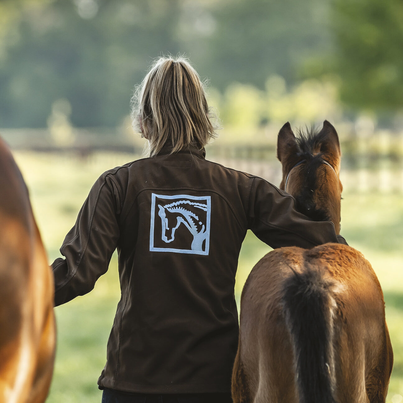 TWEENHILLS PHOTO 972x972 08