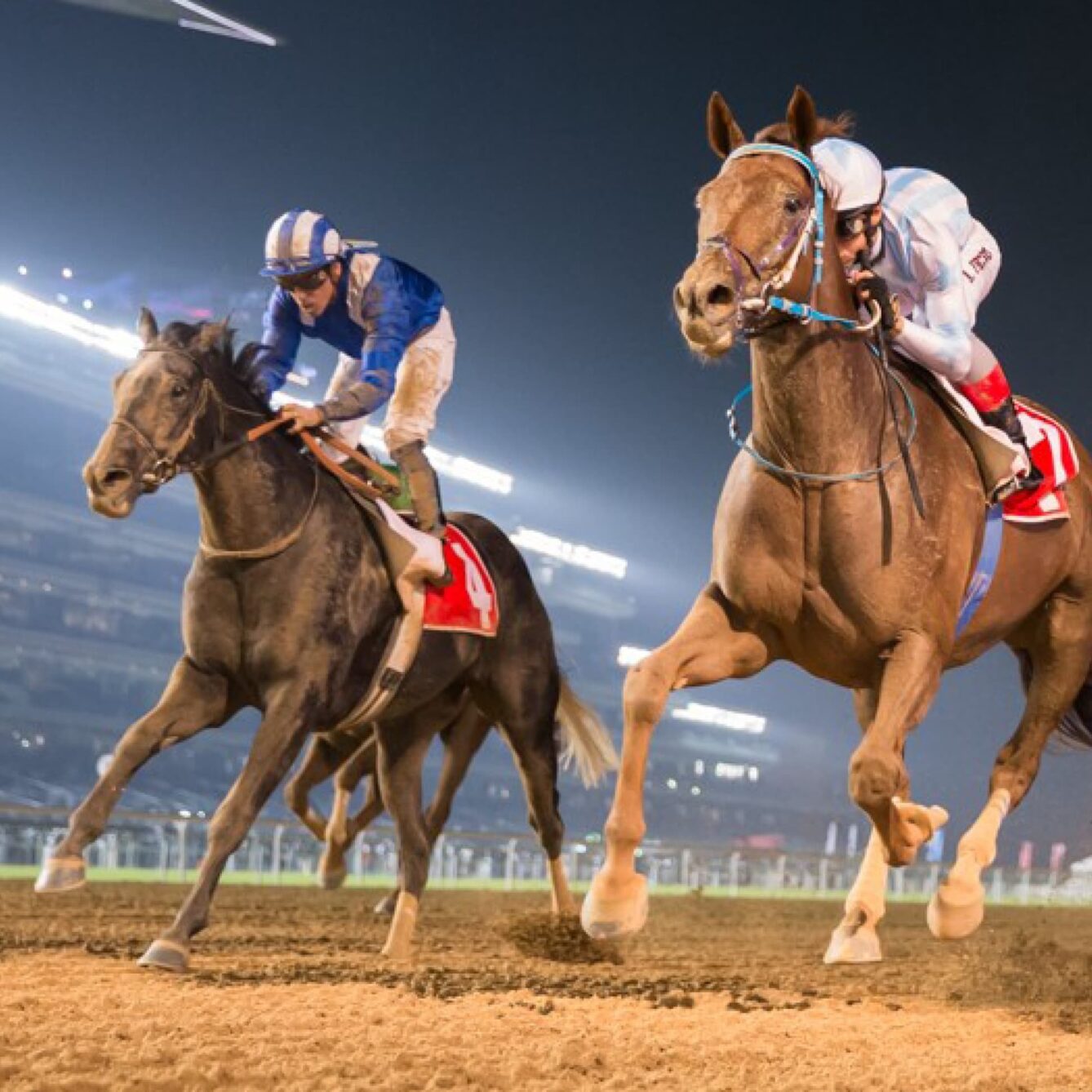 ERA PHOTO 972x972 01